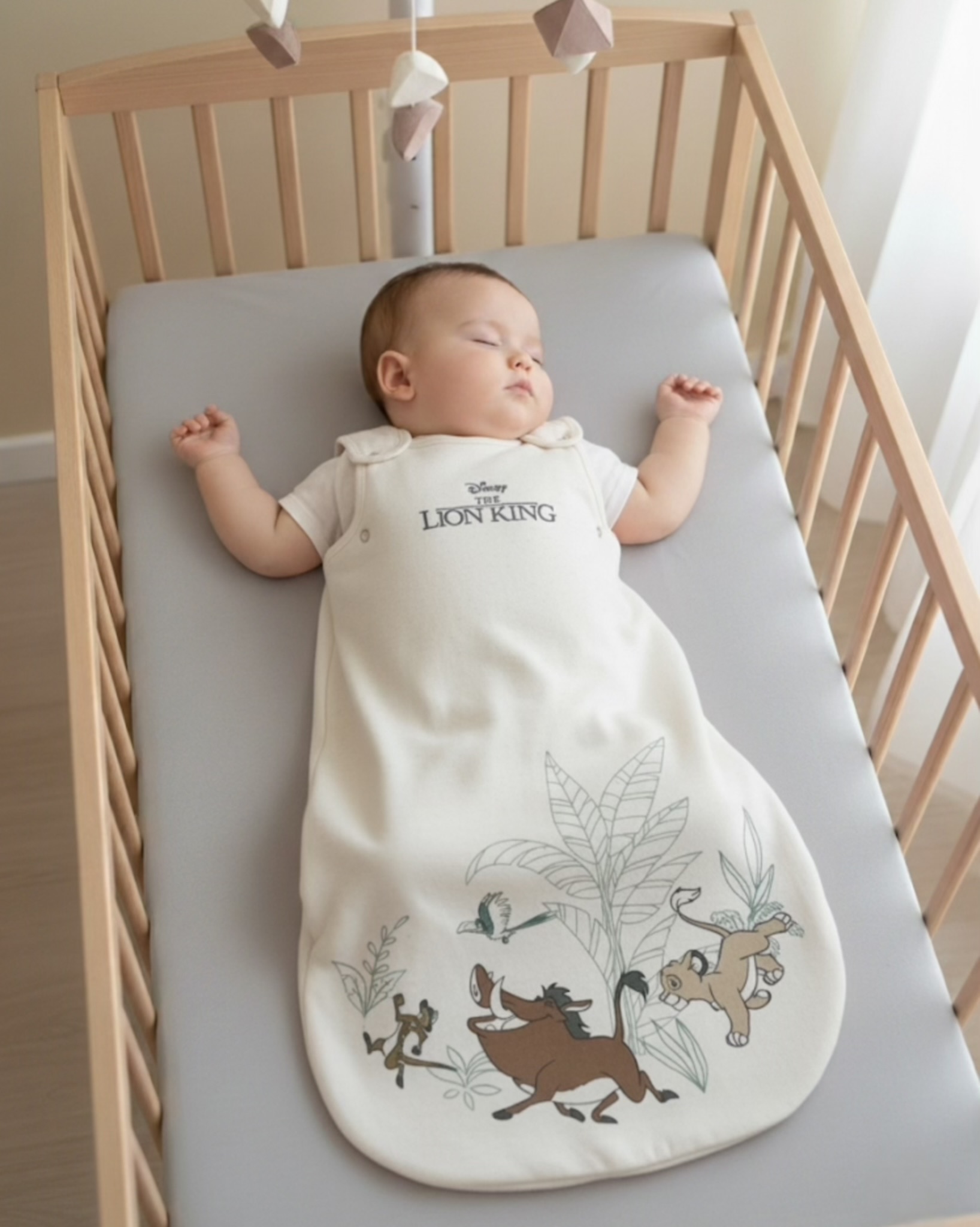 Lion king sleeping bag