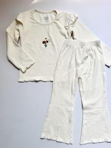 Ivory blossom embroidered co-ord