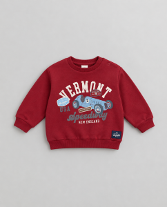 Vermont sweatshirt