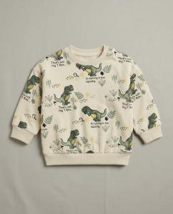 T-Rex sweatshirt